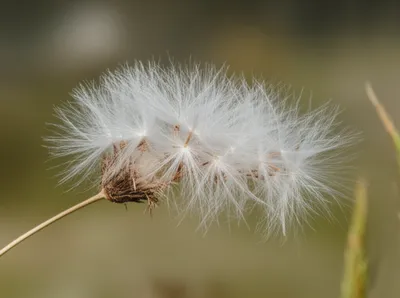 Illustration coma - Image 1