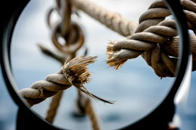 Illustration discussing - Image 1