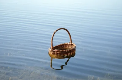 Illustration sculls - Image 1