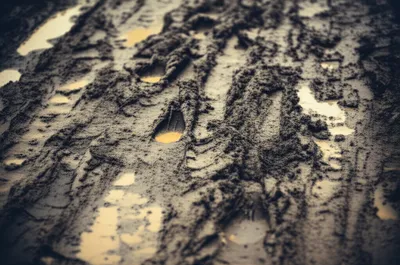 Illustration hobnail - Image 1