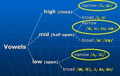 Illustration narrow - Image 2