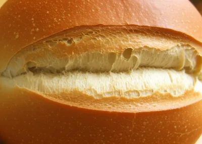 Illustration bloomer - Image 1