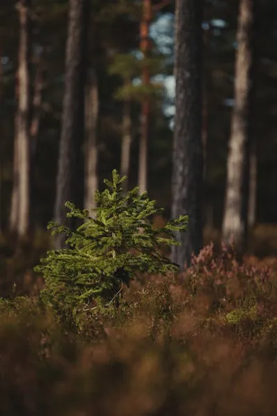 Illustration smallness - Image 2