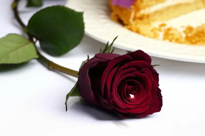 Illustration malcontent - Image 1