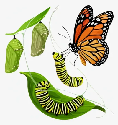 Illustration stadia - Image 1