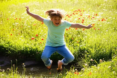 Illustration romps - Image 1