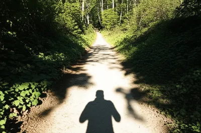 Illustration speculations - Image 1