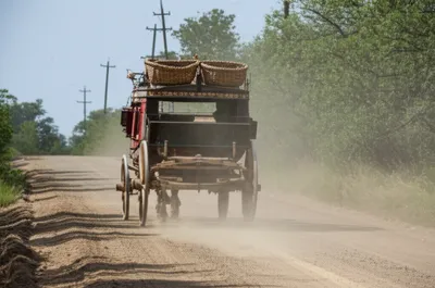 Illustration basket - Image 1
