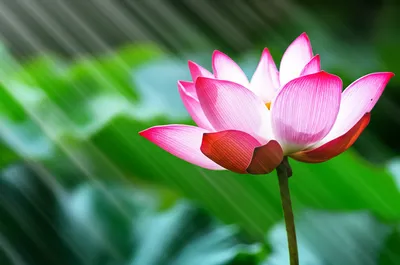 Illustration recollection - Image 2