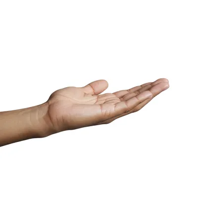 Illustration no - Image 1