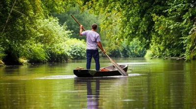 Illustration punted - Image 1