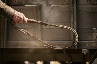 Illustration hide - Image 1