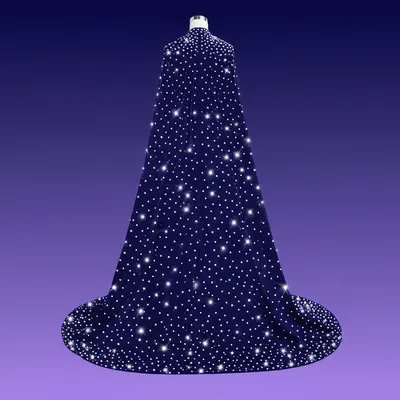 Illustration spangled - Image 1