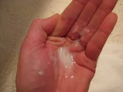 Illustration seminal - Image 3