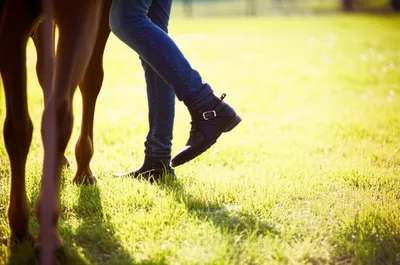 Illustration alights - Image 1