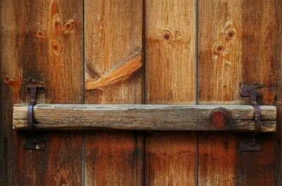 Illustration toggle - Image 1