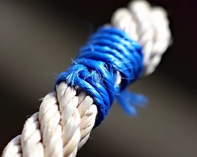 Illustration whipping - Image 1