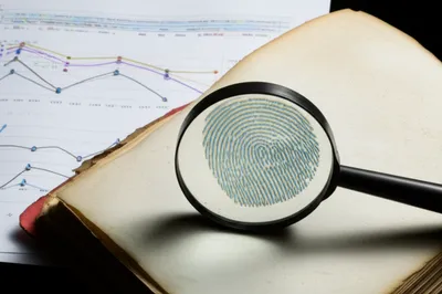 Illustration evidenced - Image 1