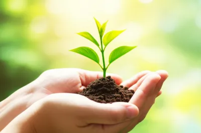 Illustration mums - Image 1