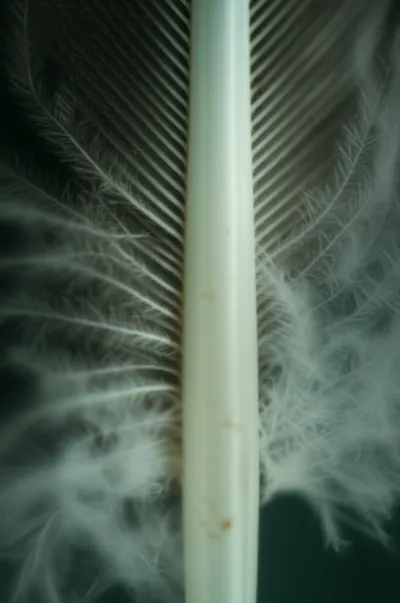 Illustration shaft - Image 1