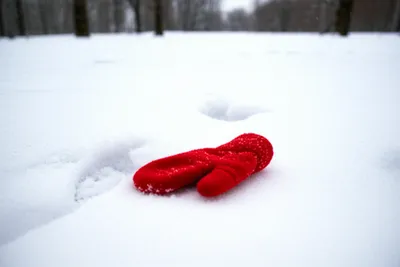 Illustration forgotten - Image 1