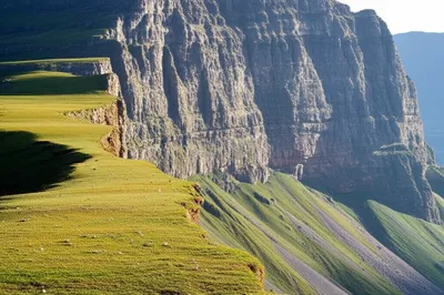 Illustration potrero - Image 1