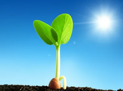 Illustration got - Image 1