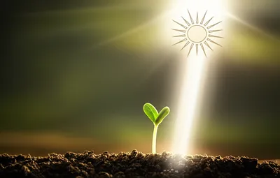 Illustration predestines - Image 1