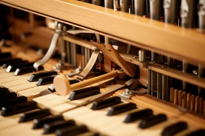 Illustration sticker - Image 1