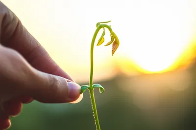 Illustration withholding - Image 1