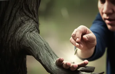 Illustration assumed - Image 1