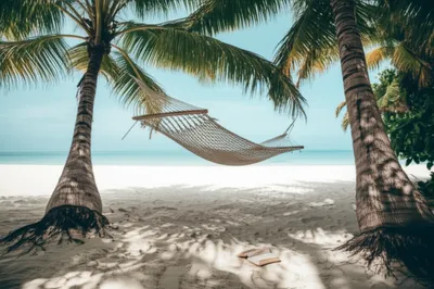 Illustration seat - Image 1