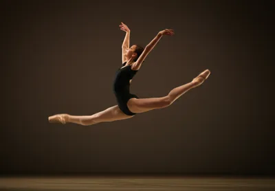 Illustration hoof - Image 1