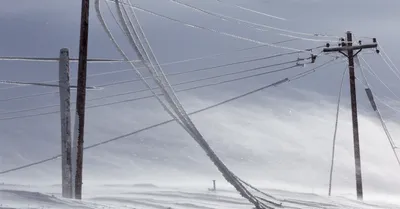 Illustration galloped - Image 1