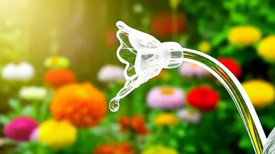 Illustration susceptible - Image 1