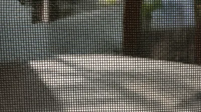 Illustration screenings - Image 1