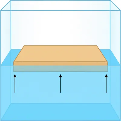 Illustration float - Image 1