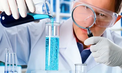 Illustration sees - Image 1