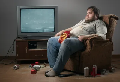 Illustration soss - Image 1