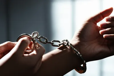 Illustration pardon - Image 1