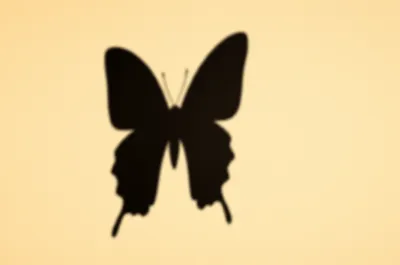 Illustration typing - Image 1