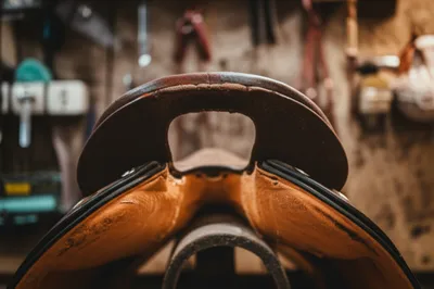 Illustration cantle - Image 1