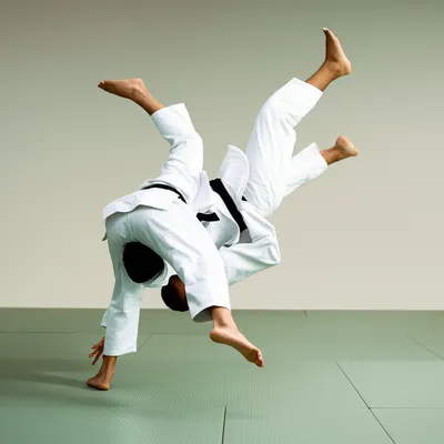 Illustration judoka - Image 1