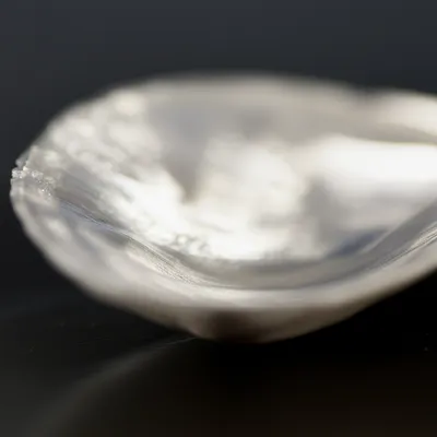 Illustration twinkle - Image 1