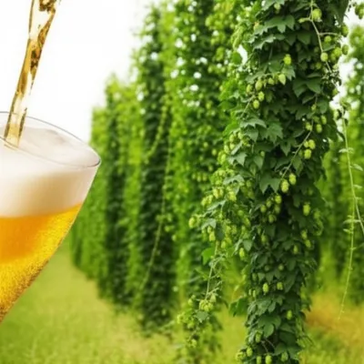 Illustration bitters - Image 1