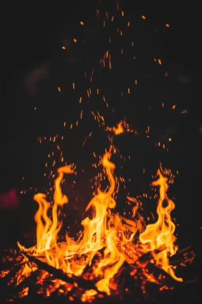 Illustration tongues - Image 1