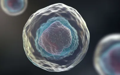 Illustration ectoplasm - Image 1