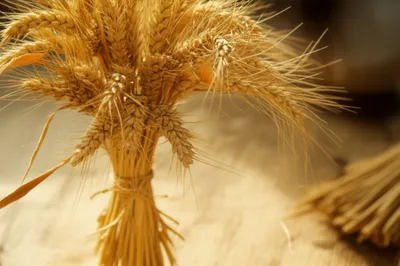 Illustration wisps - Image 1