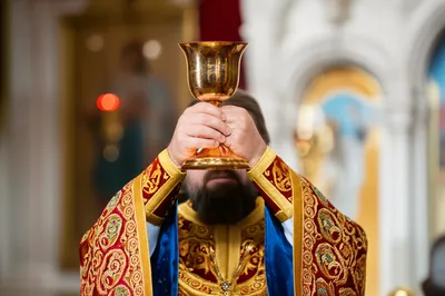 Illustration vestments - Image 1