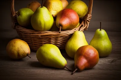 Illustration wardens - Image 1